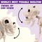 Posable Halloween Dog Skeleton Full Body Posable Joints Skeleton Puppy for Halloween Decoration, Graveyard Party Deco (9.8” X 4.7” X 12.6”)